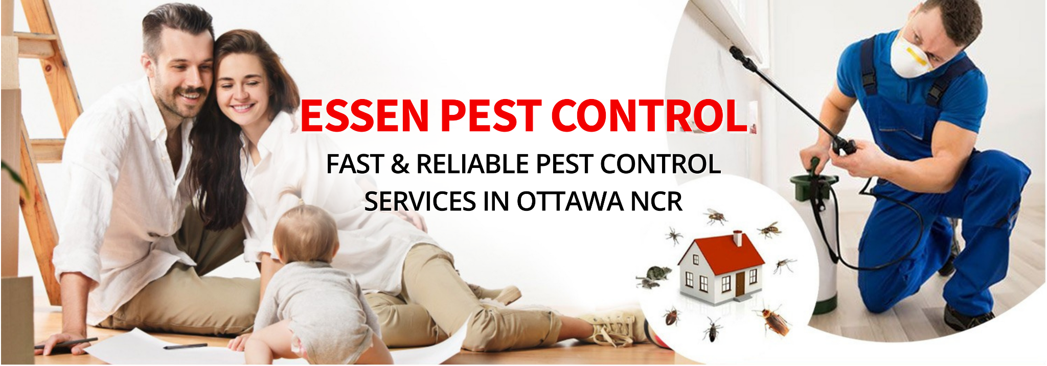 Pest Control Ottawa NCR - Pest Control Near Me