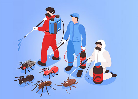 We want to keep your home and office space free from pests